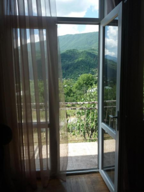 Отель Guest house Racha  Амбролаури